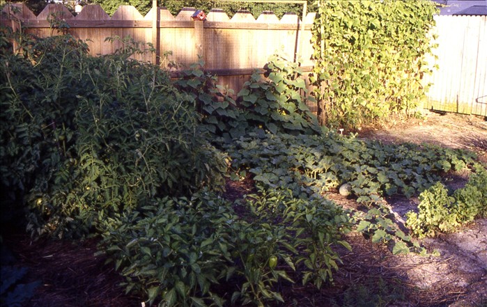 0100_20060929_0607_Slide 1997 06 N25 OldGardenPatch.jpg